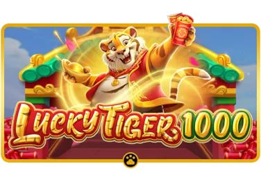 4899bet com