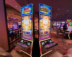 4899bet com